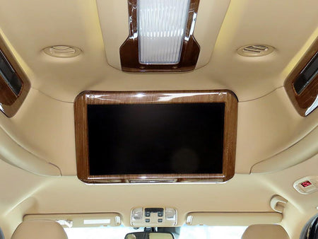 Kia Carnival — photo 14