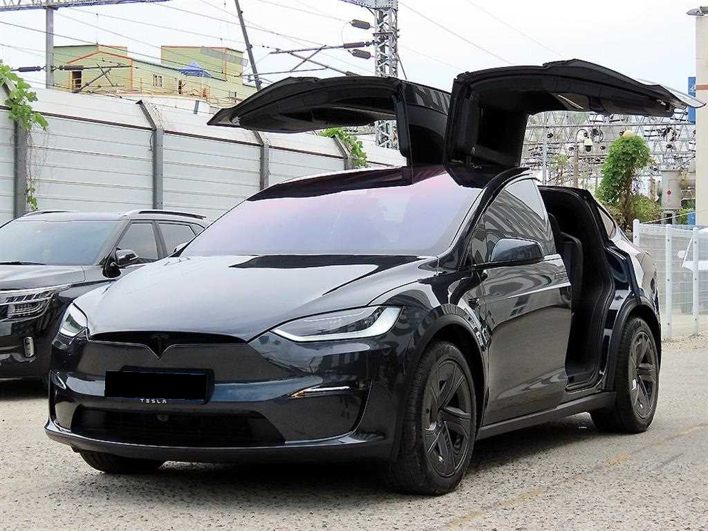 Tesla Model X — photo 06