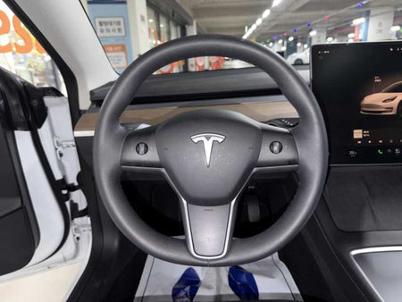 Tesla Model 3 — photo 09