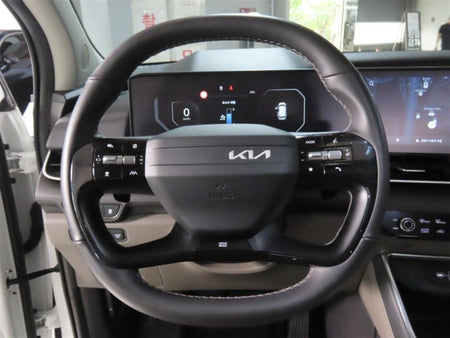 Kia Carnival — photo 14