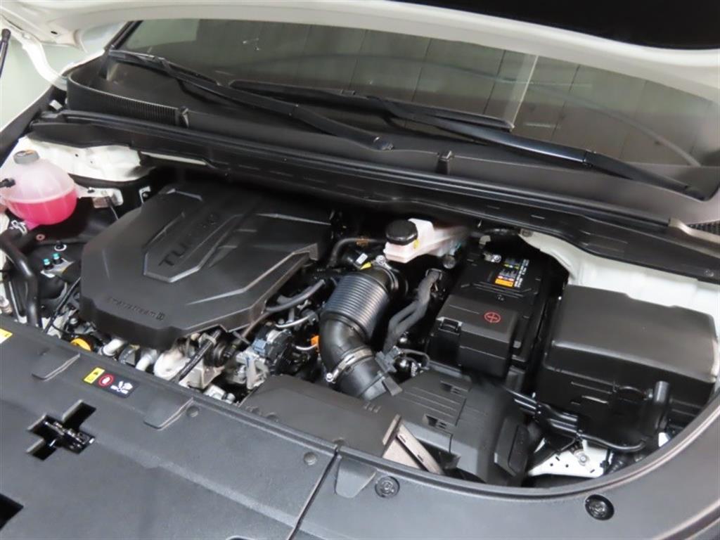 Kia Carnival — photo 20