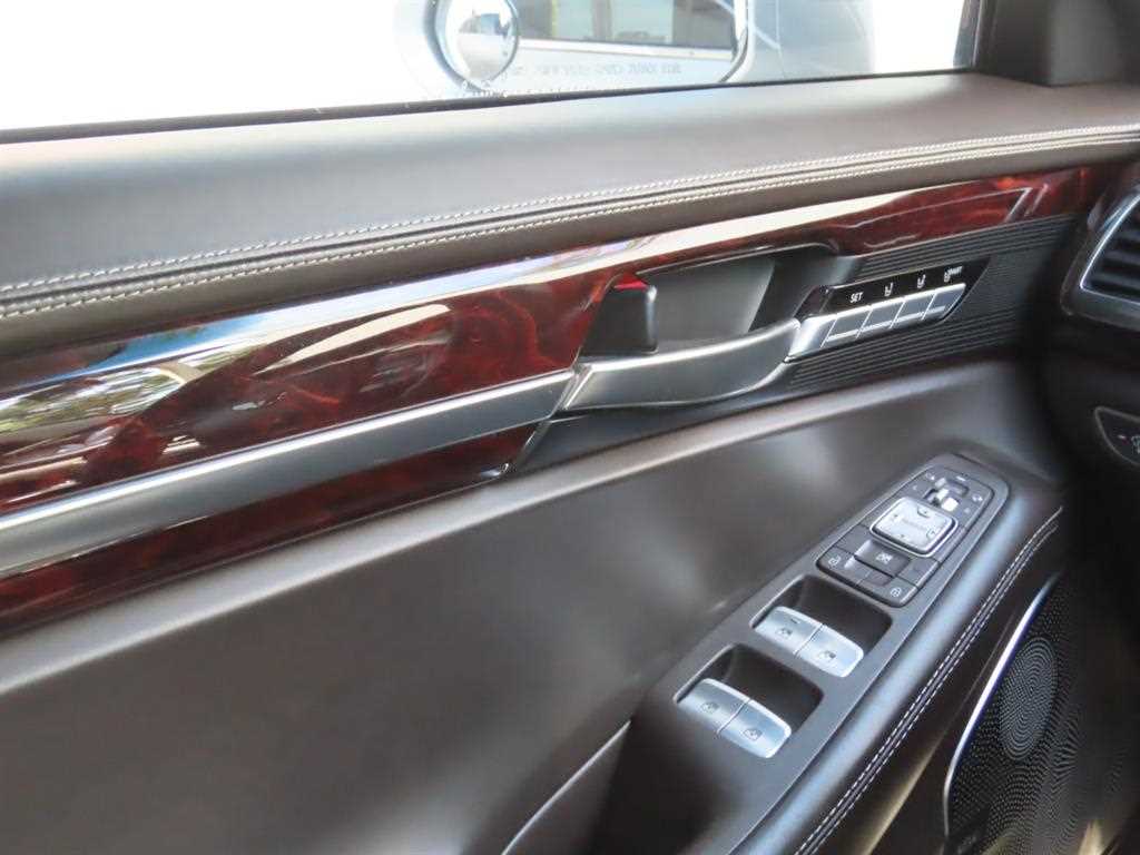 Genesis EQ900 — photo 14