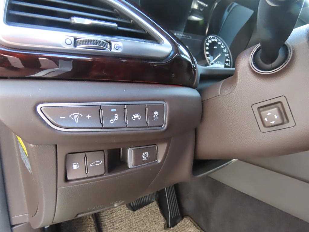 Genesis EQ900 — photo 15