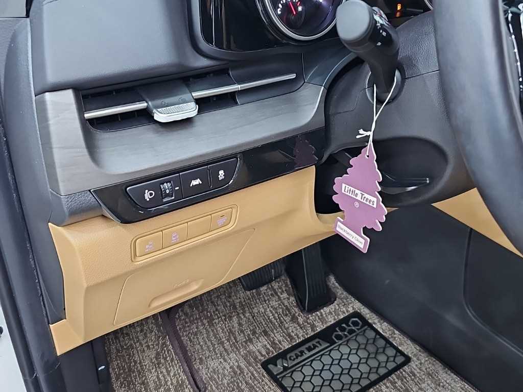 Kia Carnival — photo 18