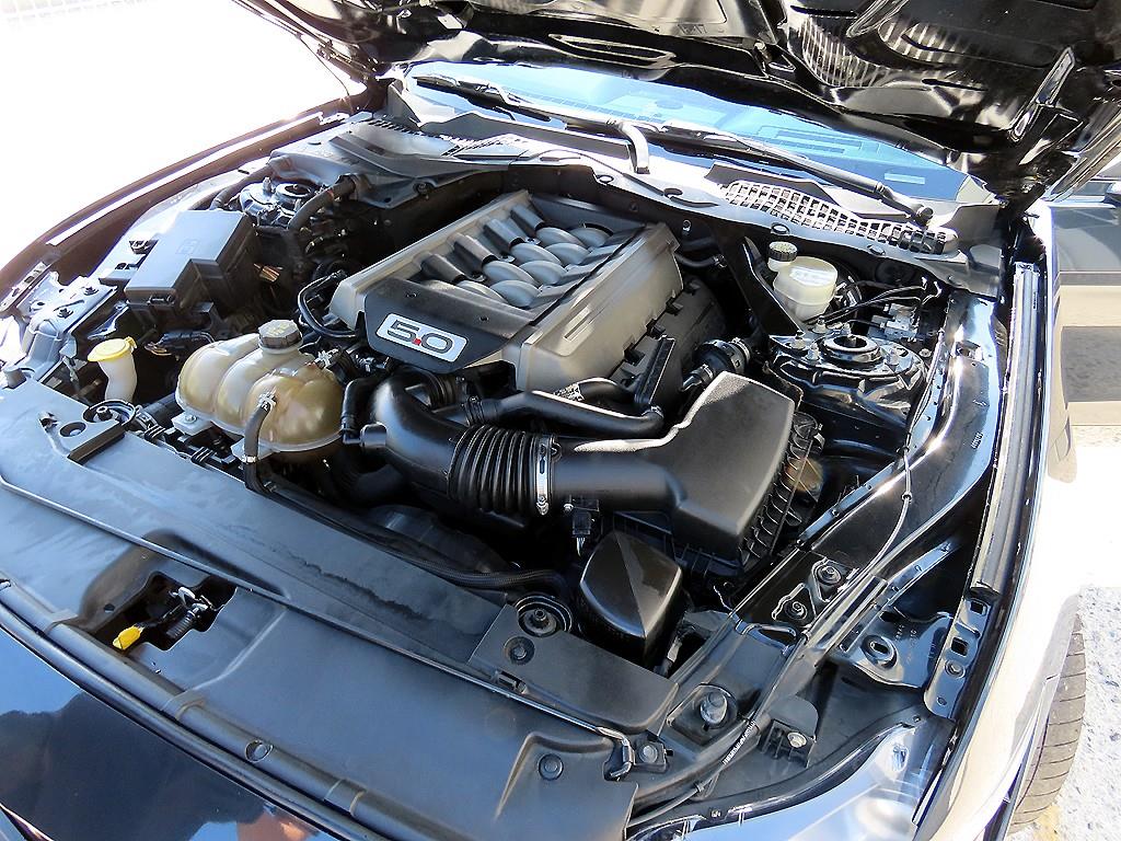 Ford Mustang — photo 18