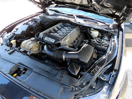 Ford Mustang — photo 18