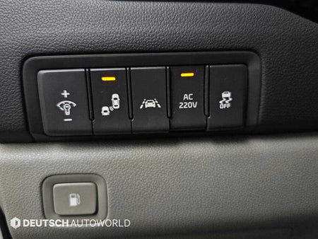 Kia Carnival — photo 17