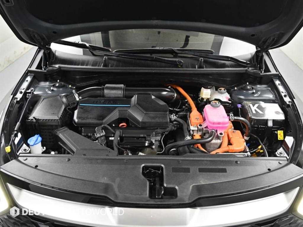 Kia Sportage — photo 06