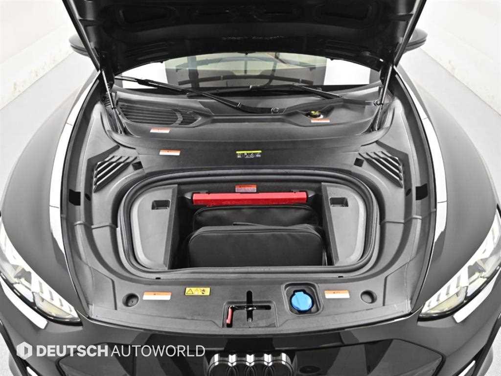 Audi RS e-tron GT — photo 19
