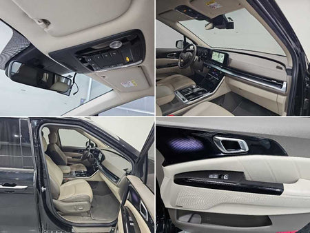 Kia Carnival — photo 19