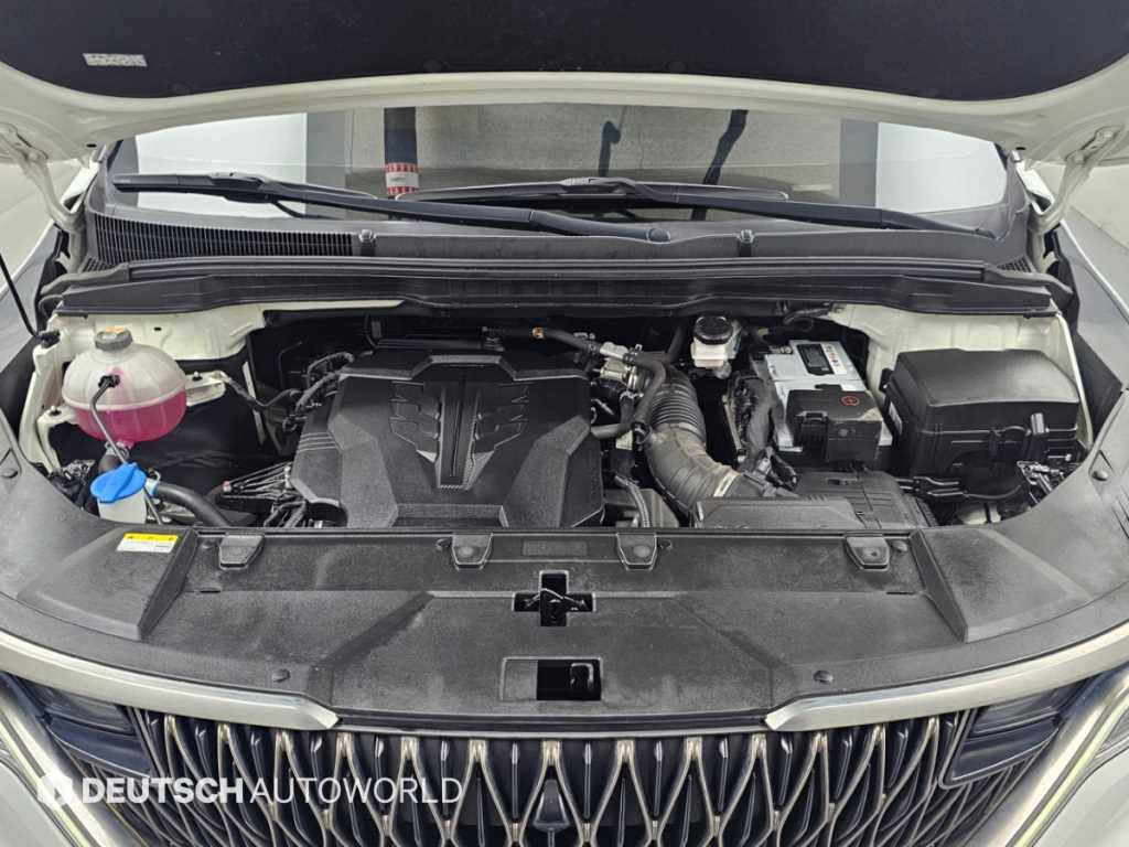 Kia Carnival — photo 06