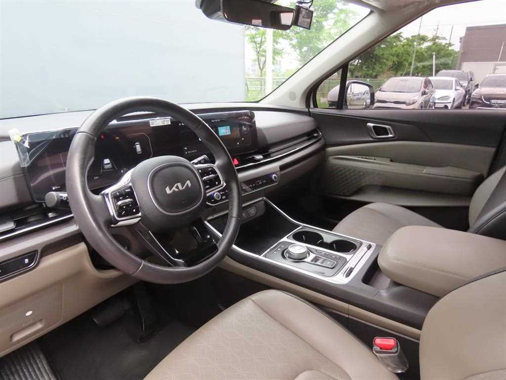 Kia Carnival — photo 15