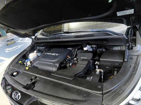 Kia Carnival — photo 19
