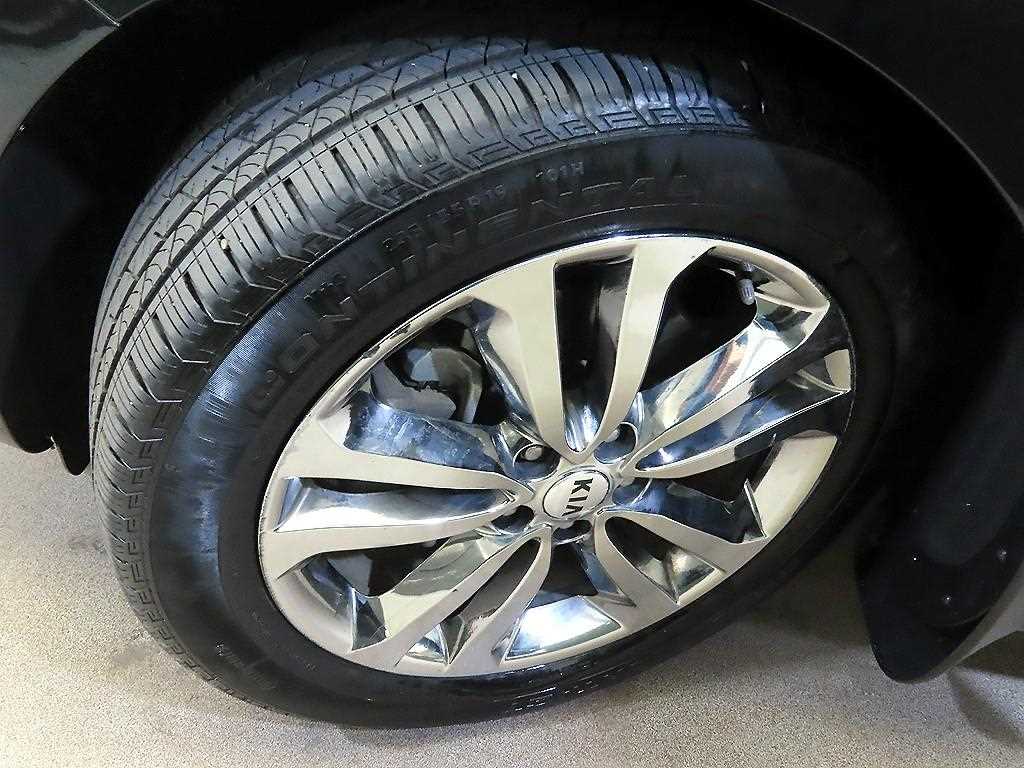 Kia Carnival — photo 20
