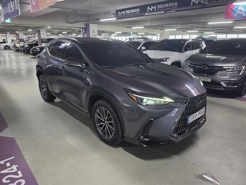 Lexus NX — photo 01