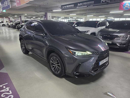 Lexus NX — photo 01