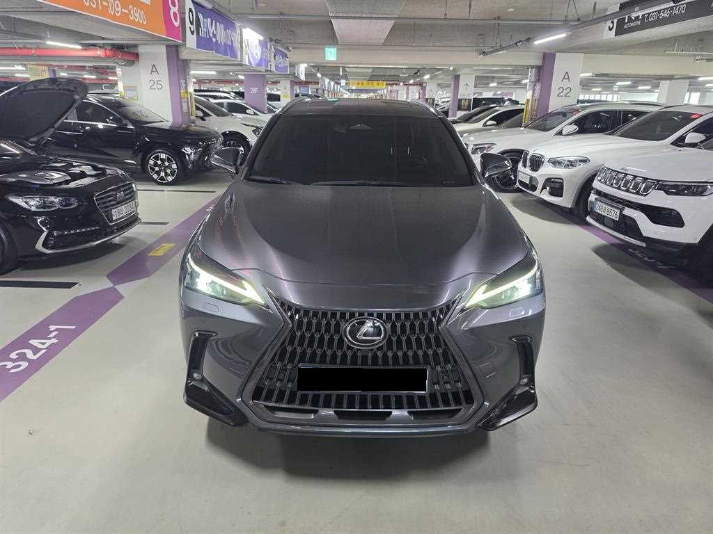 Lexus NX — photo 02