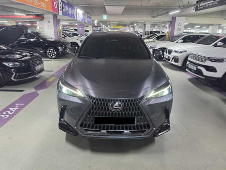 Lexus NX — photo 02