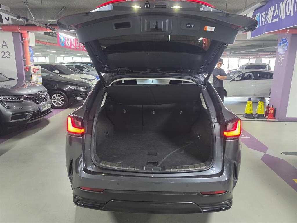 Lexus NX — photo 05