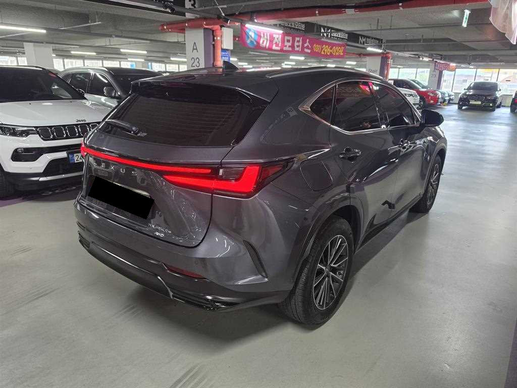 Lexus NX — photo 06