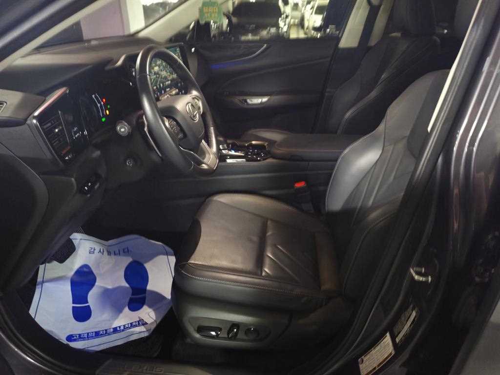 Lexus NX — photo 07