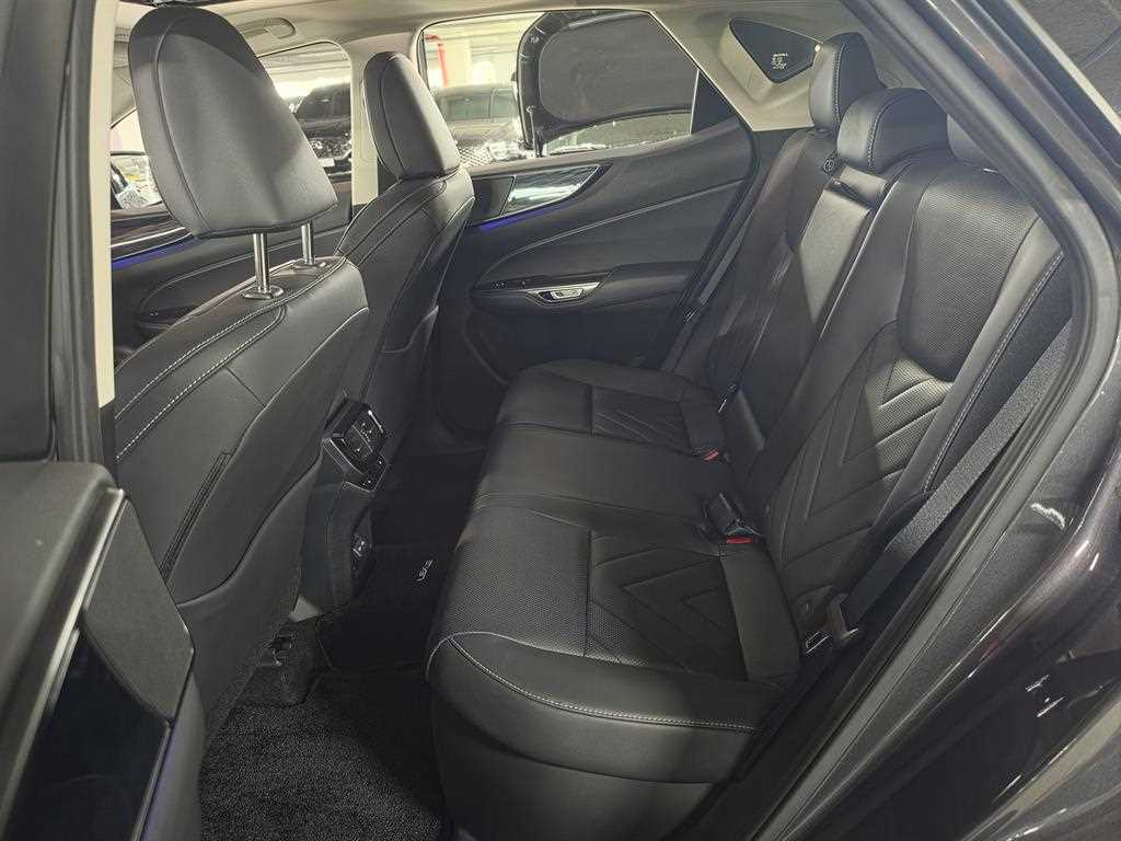 Lexus NX — photo 08