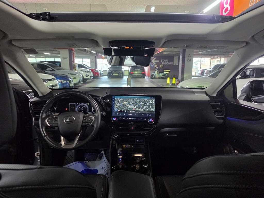 Lexus NX — photo 09