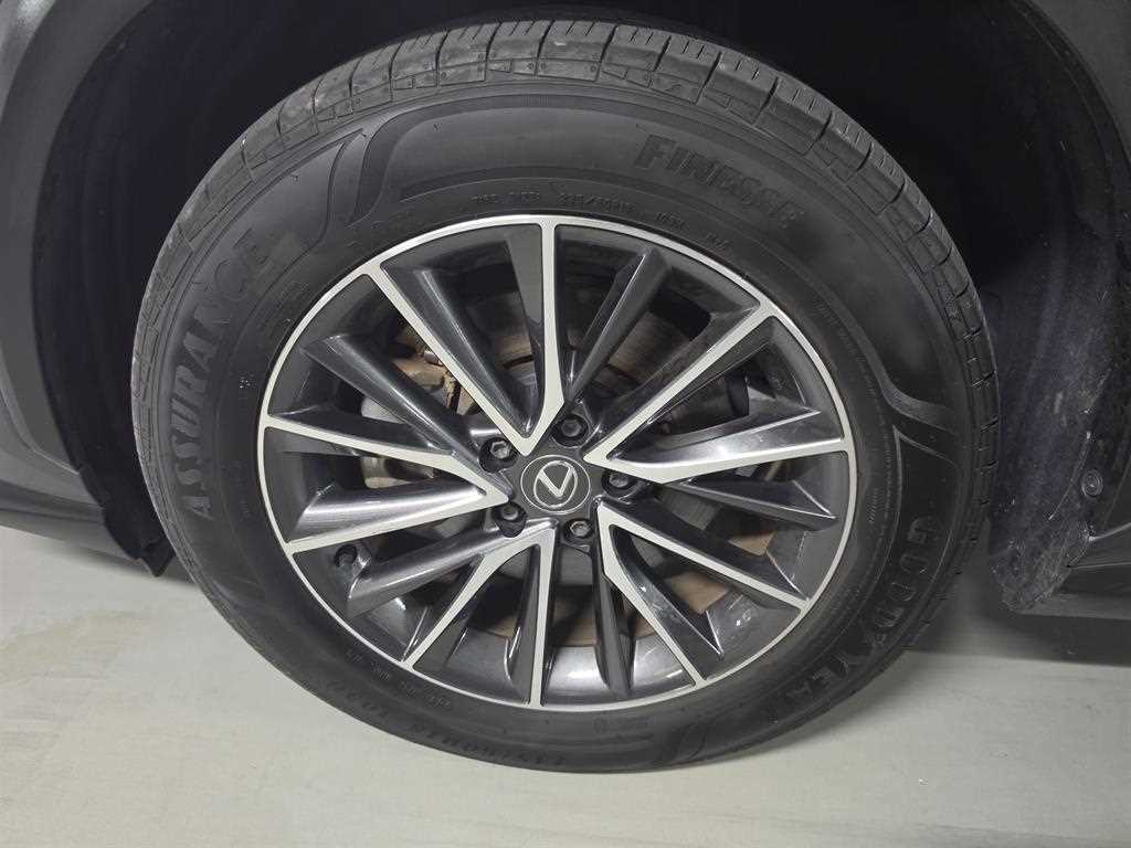 Lexus NX — photo 17