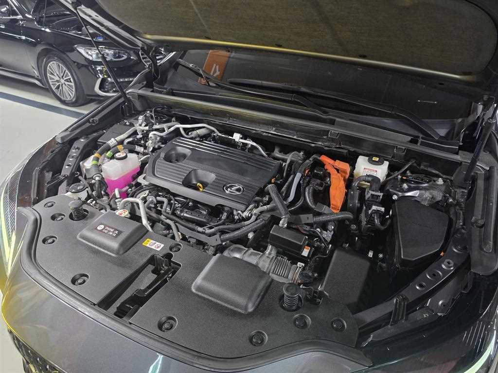 Lexus NX — photo 18