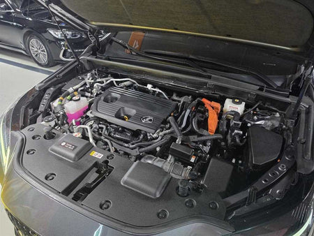 Lexus NX — photo 18