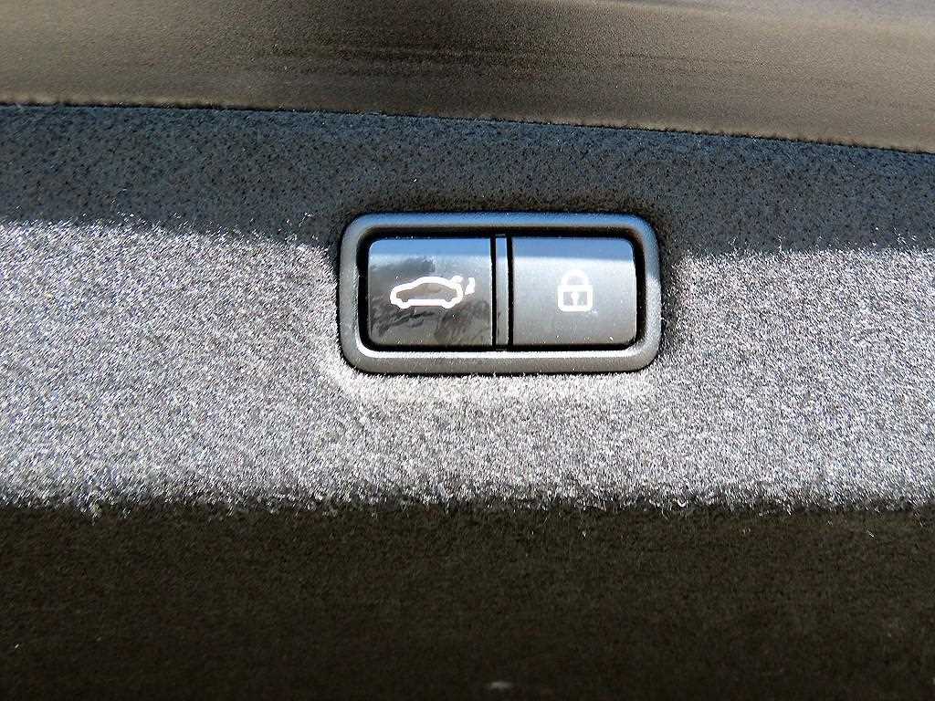 Genesis G90 — photo 16