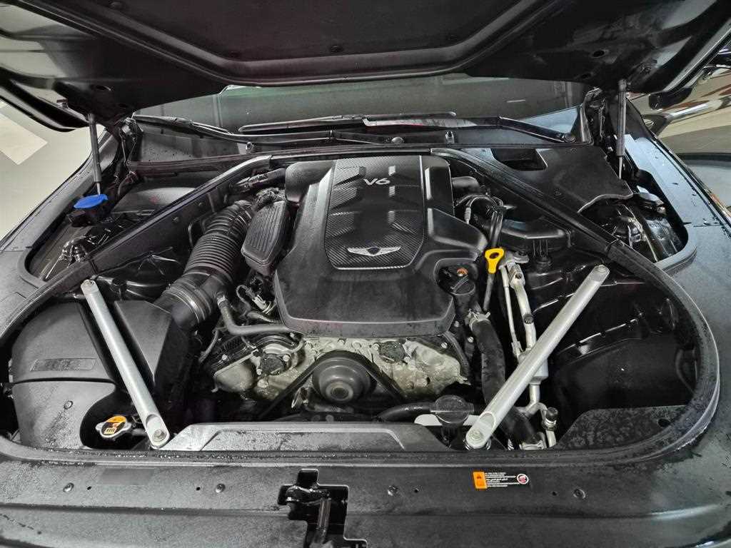 Genesis G90 — photo 19