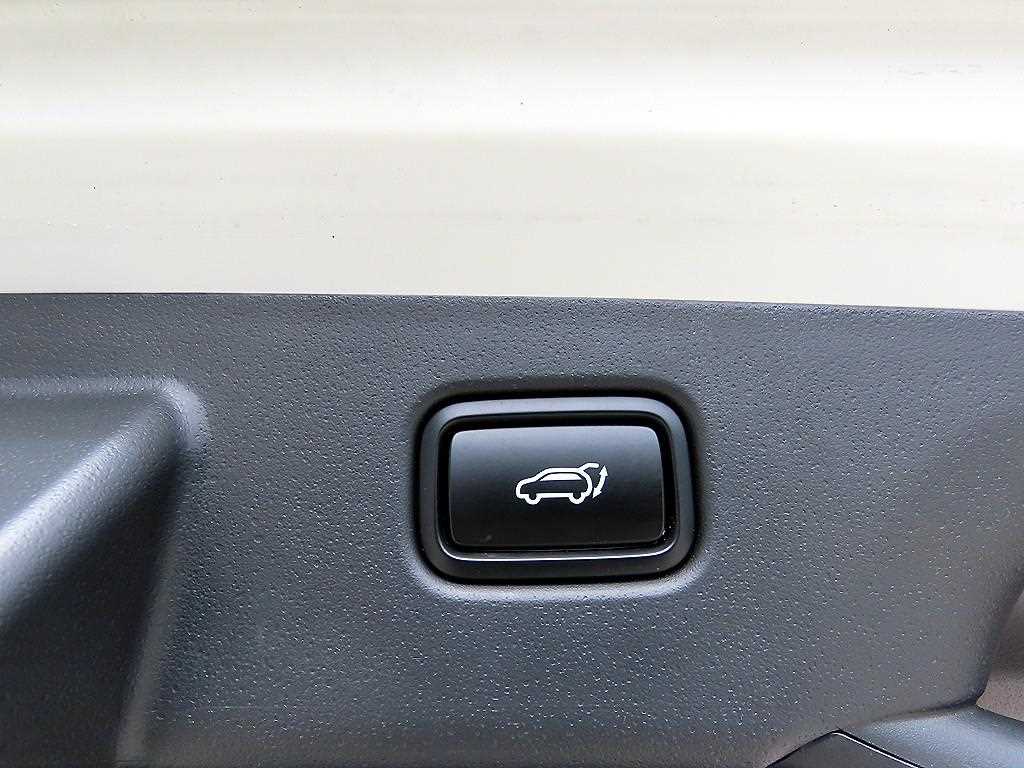 Kia Niro — photo 16