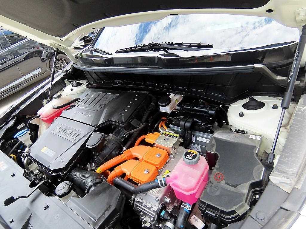 Kia Niro — photo 19
