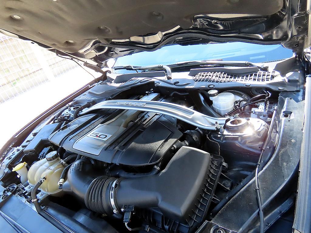 Ford Mustang — photo 16