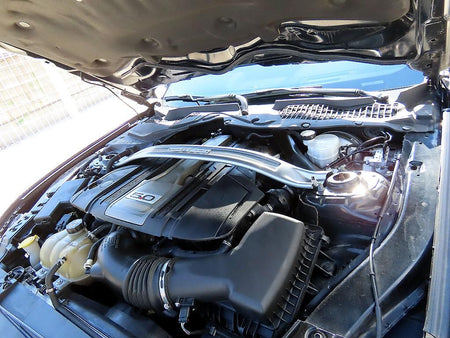 Ford Mustang — photo 16