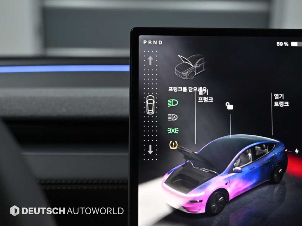 Tesla Model Y — photo 09