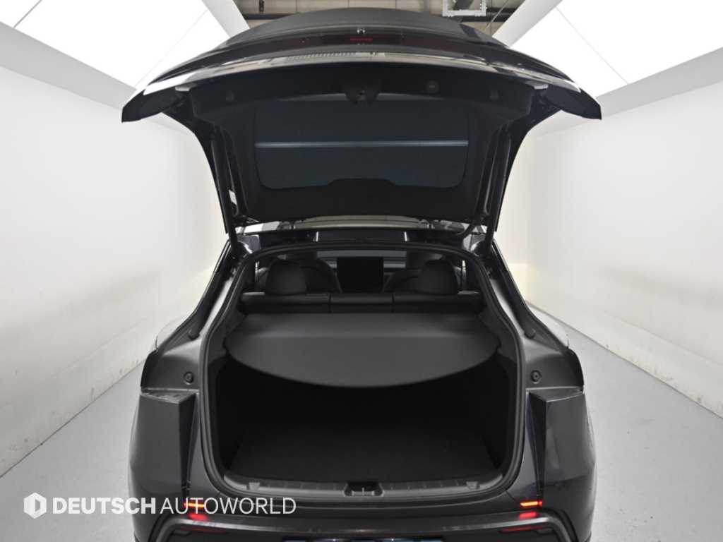 Tesla Model Y — photo 19