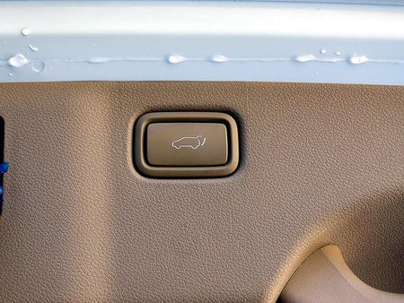 Kia Carnival — photo 17