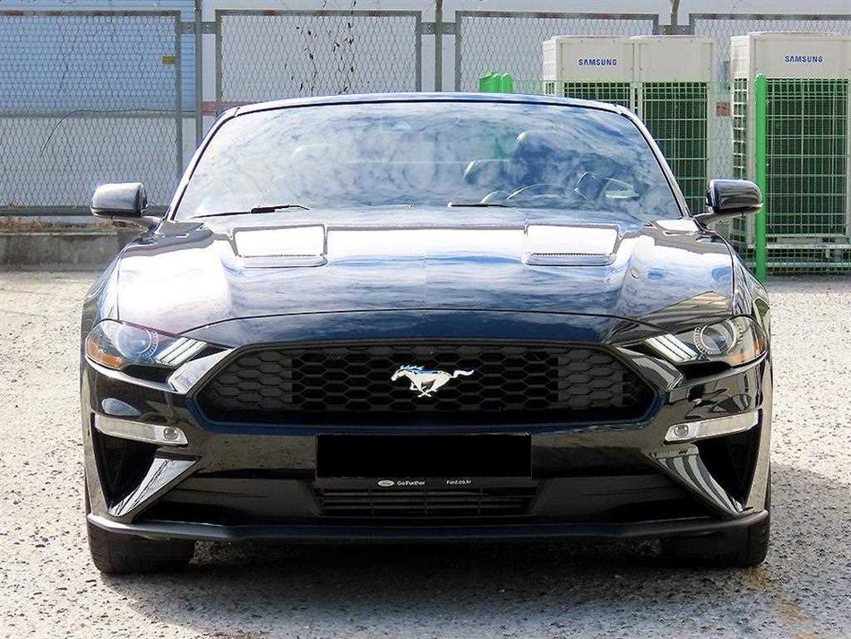 Ford Mustang — photo 01