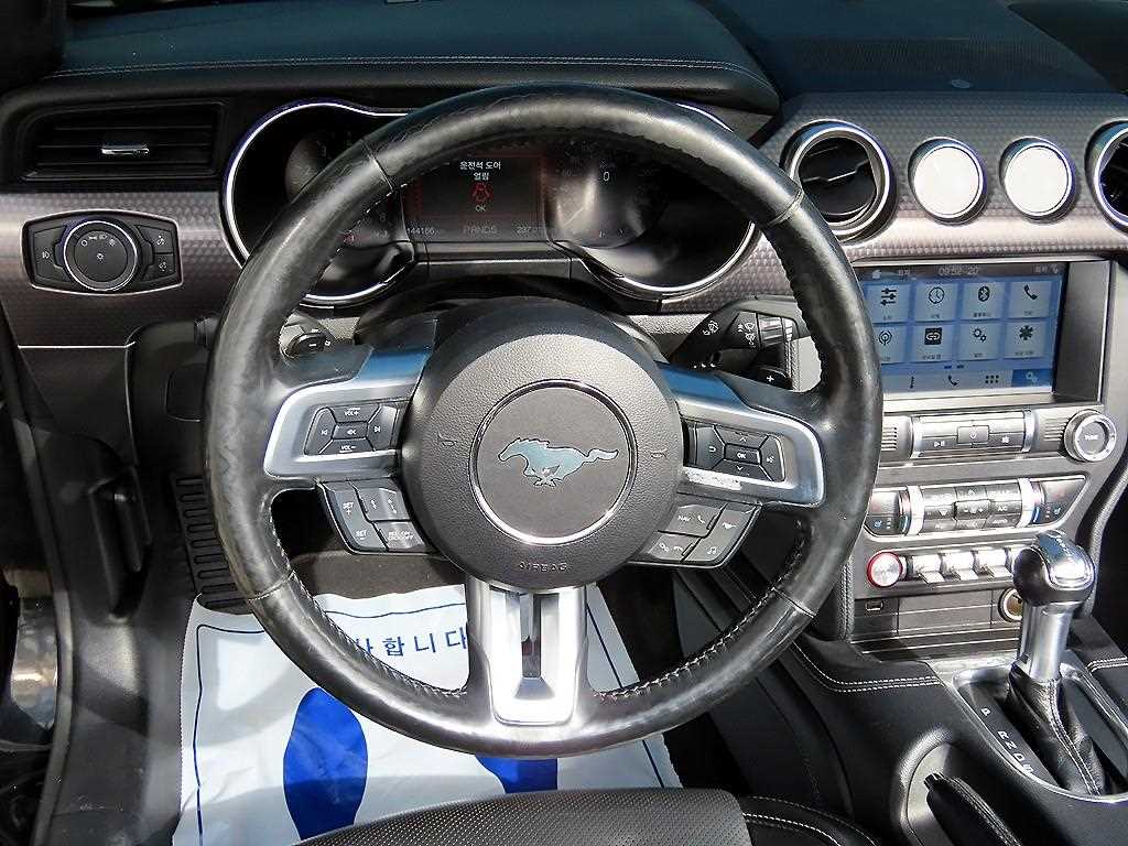 Ford Mustang — photo 12