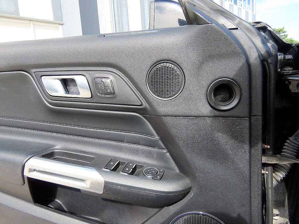 Ford Mustang — photo 15