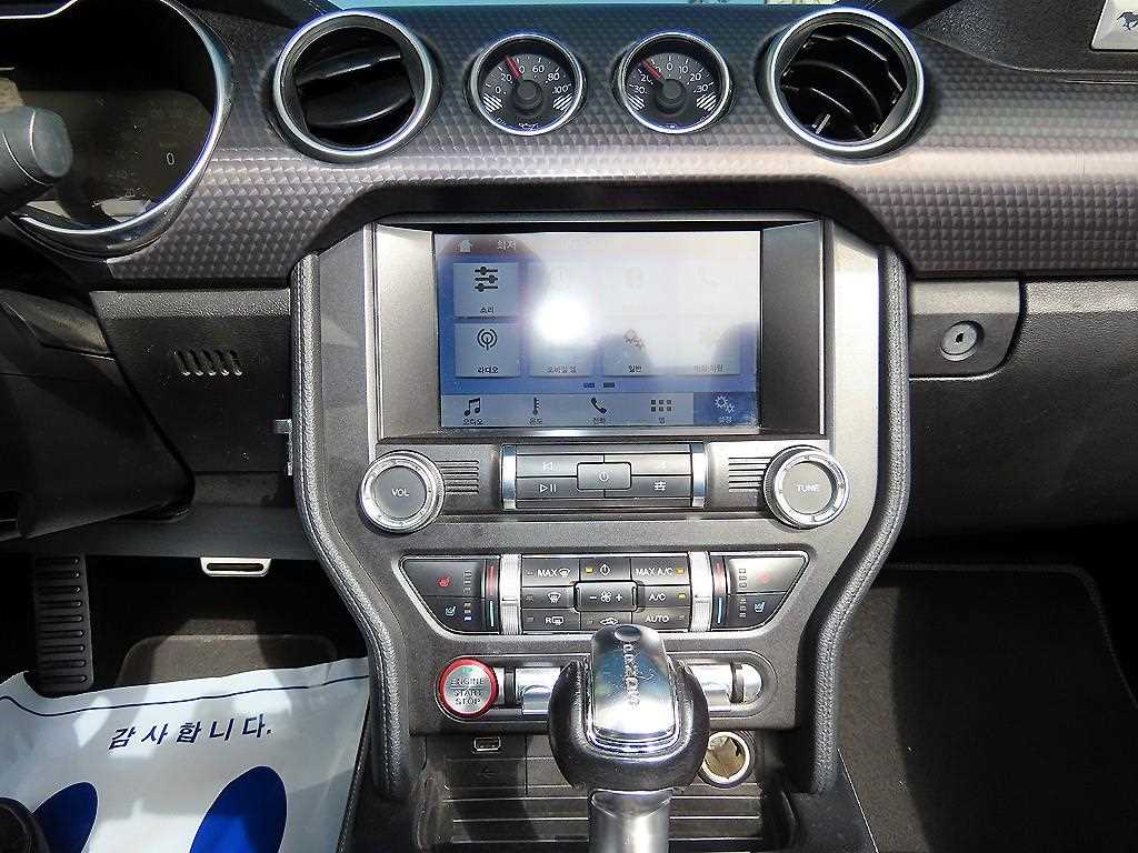 Ford Mustang — photo 16