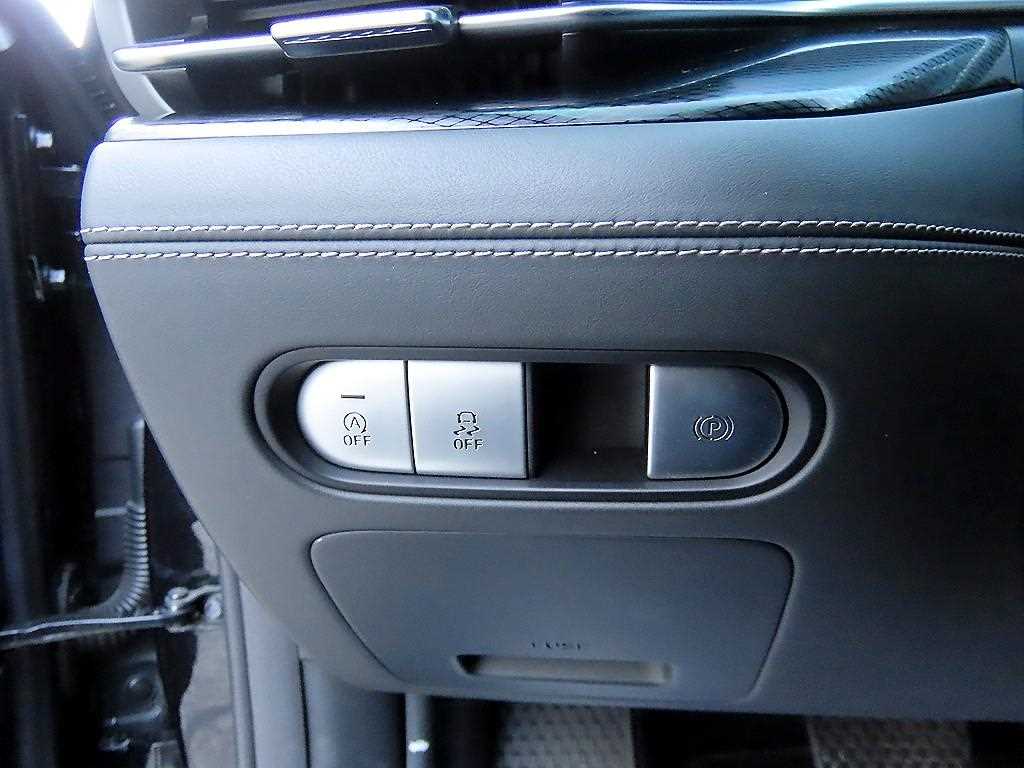 Genesis G90 — photo 12