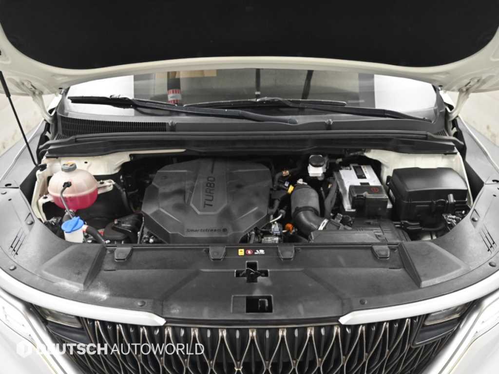 Kia Carnival — photo 06