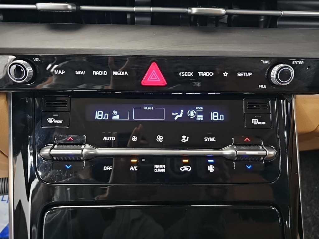 Kia Carnival — photo 10