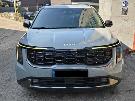 Kia Carnival — photo 02