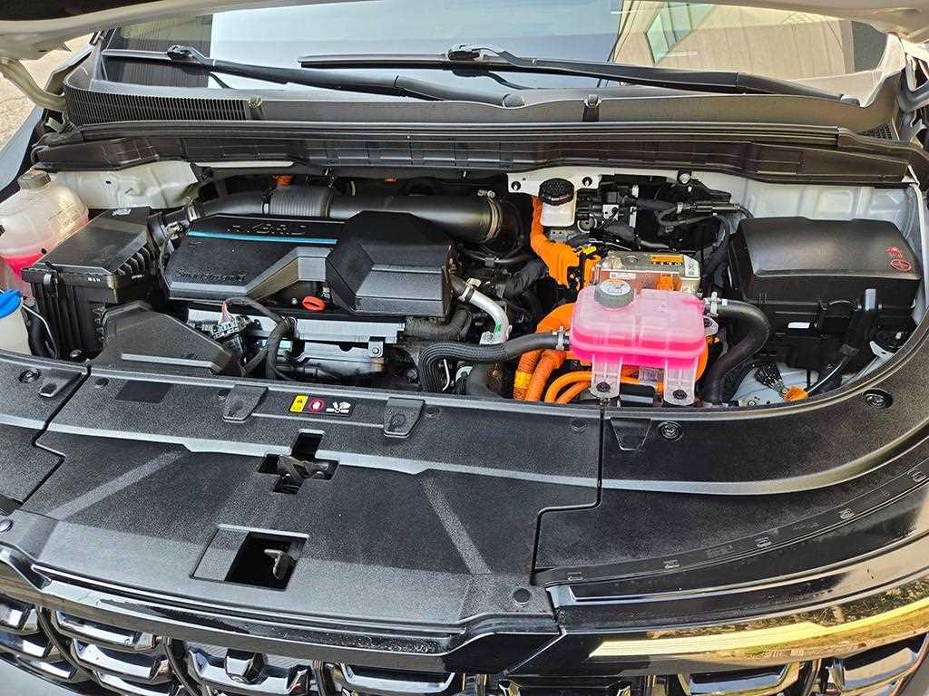 Kia Carnival — photo 19