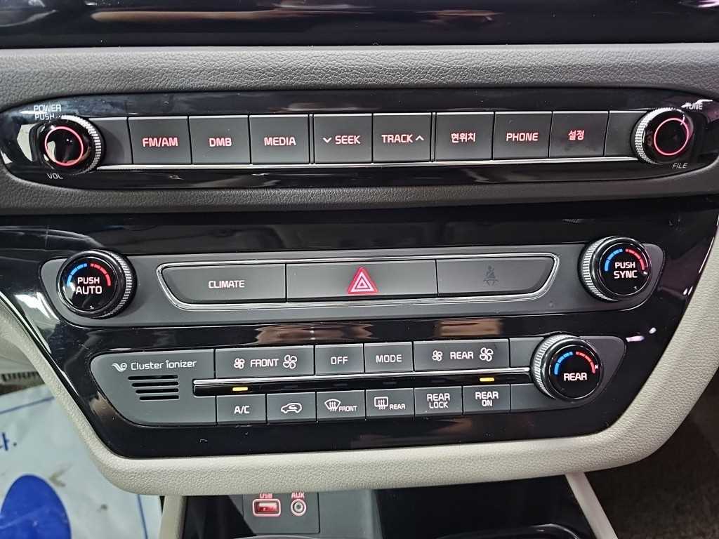 Kia Carnival — photo 10