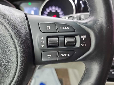 Kia Carnival — photo 18
